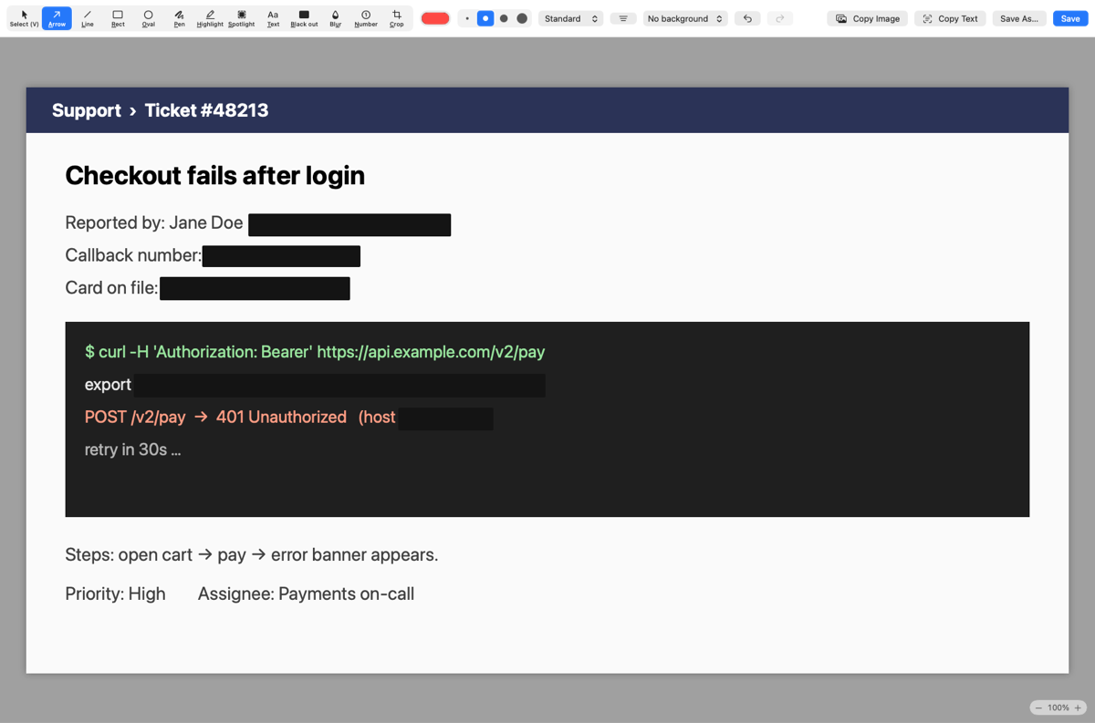The same capture after Black out all: the secrets are covered by solid black bars, everything else is readable